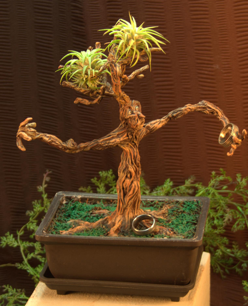 bonsai tree