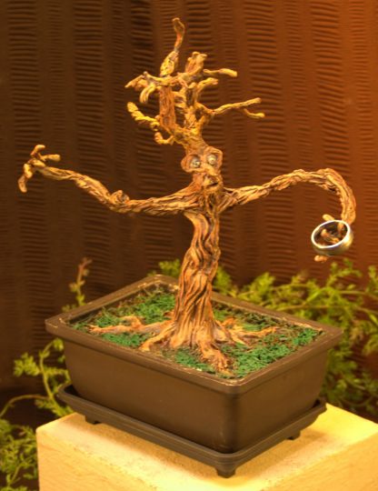 bonsai tree ent