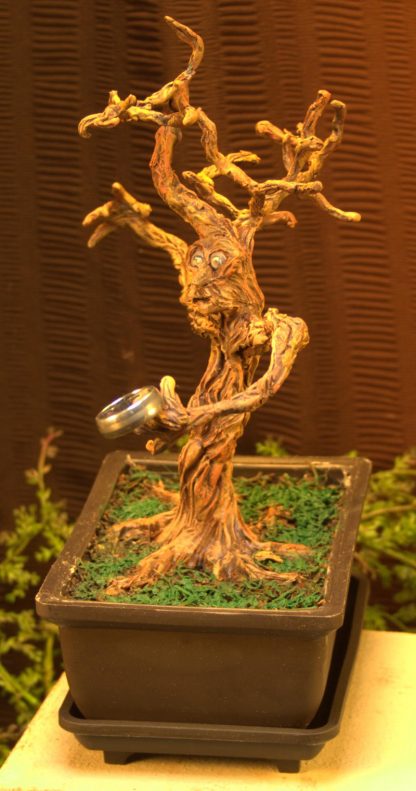 bonsai tree ent