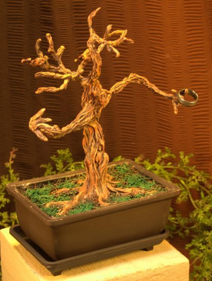 bonsai tree ent