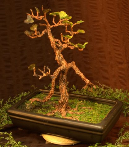 OOAK Bonsai Tree Ent