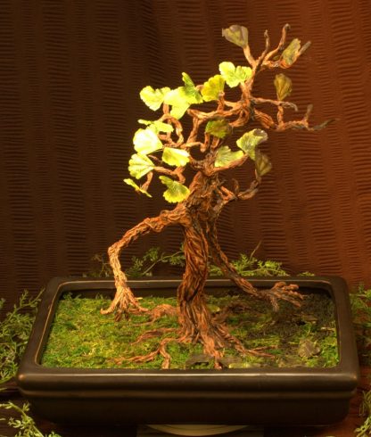 OOAK Bonsai Tree Ent