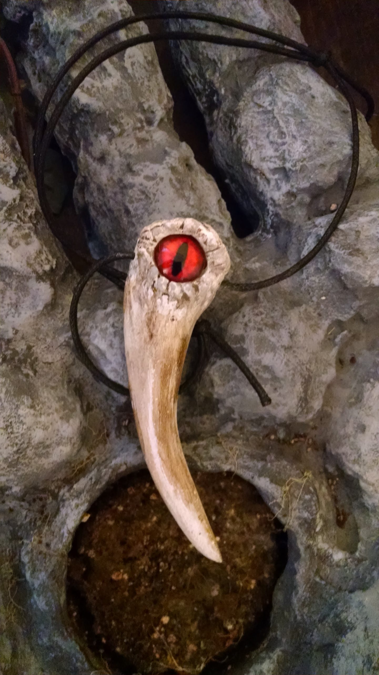 Dragon tooth pendant discount