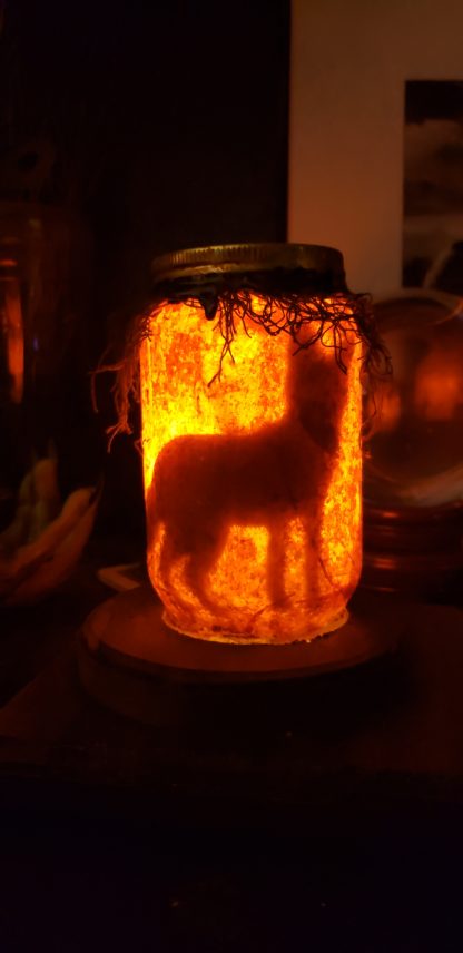 Flame Night Light Shadow Jar Fox